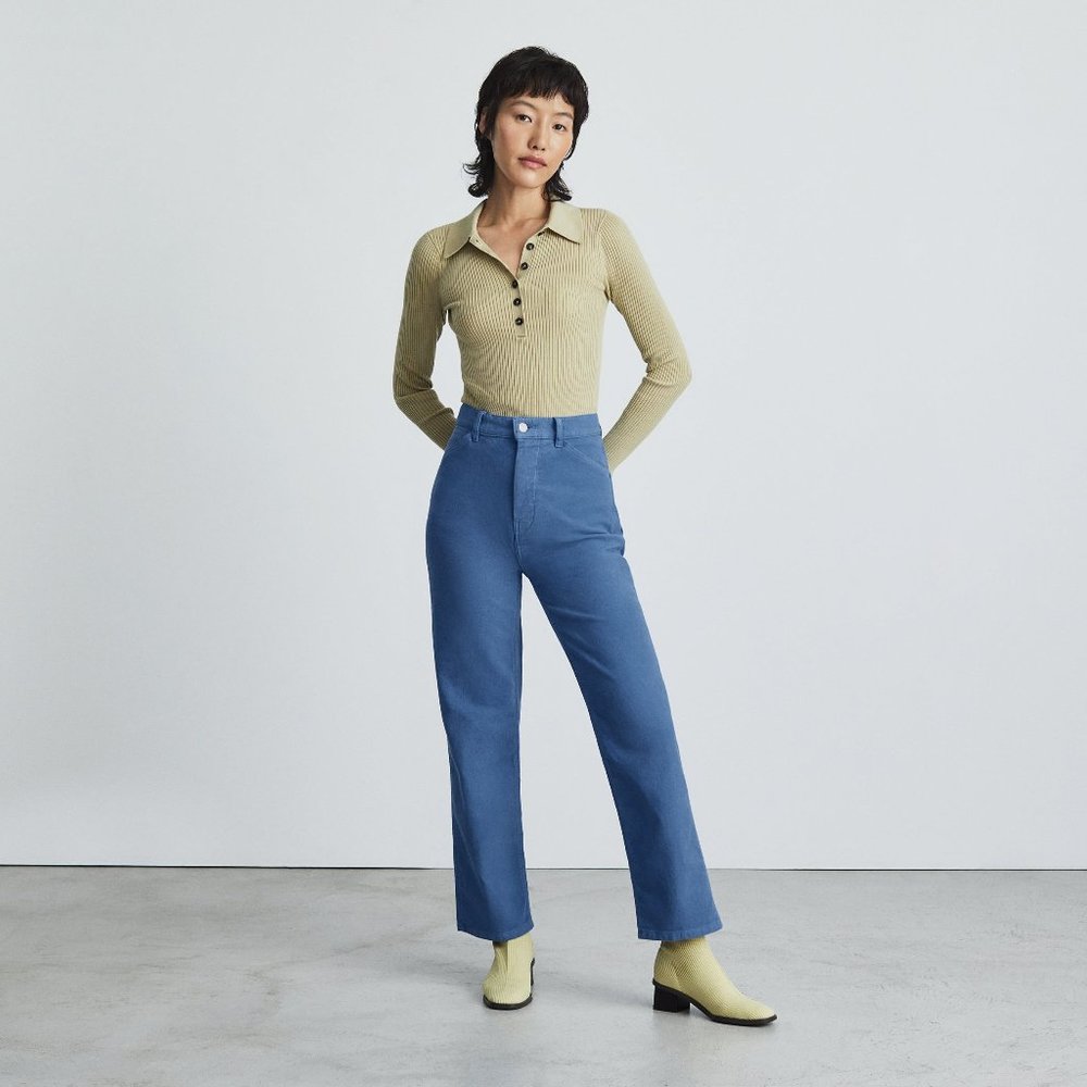 NWT! Everlane | The Moleskin Way-High Pant